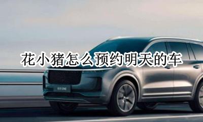 花小猪能不能预约打车 花小猪怎么预约明天的车