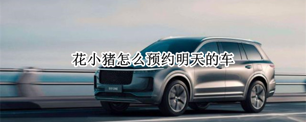 花小猪怎么预约明天的车