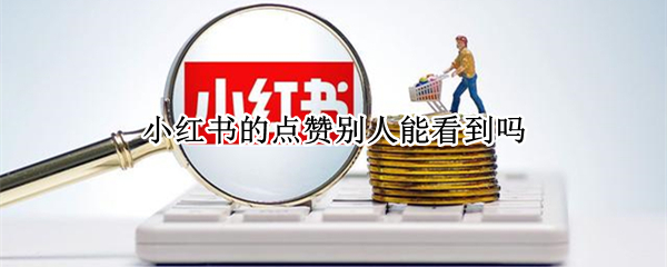 小红书的点赞别人能看到吗