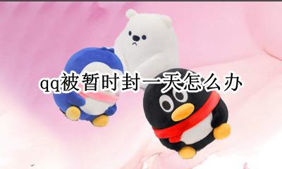 qq封一天是怎么回事 qq被暂时封一天怎么办