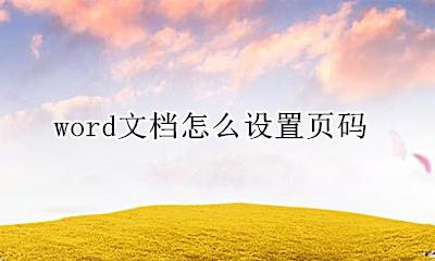 word文档怎么设置页码 如何在word文档设置页码