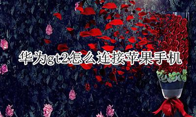 华为gt2怎么连接苹果手机 华为gt2能不能连接苹果手机