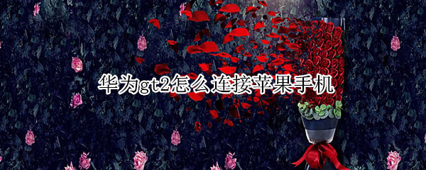 华为gt2怎么连接苹果手机