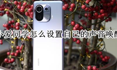 小爱同学语音唤醒功能怎么设置 小爱同学怎么设置自己的声音唤醒