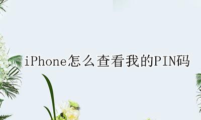 苹果pin密码在哪里看 iPhone怎么查看我的PIN码