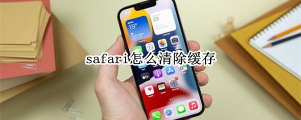 safari怎么清除缓存