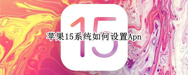 苹果15系统如何设置Apn