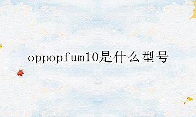 oppopfum10是什么型号 oppopcdm10是什么型号