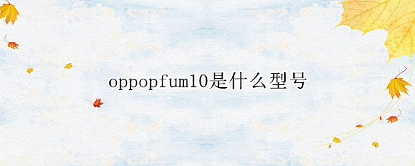 oppopfum10是什么型号