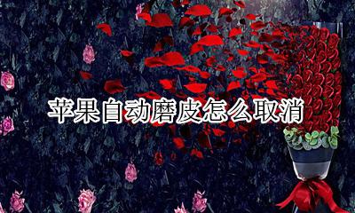 苹果自动磨皮怎么取消 苹果手机自带磨皮怎么去掉