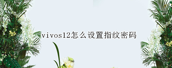 vivos12怎么设置指纹密码