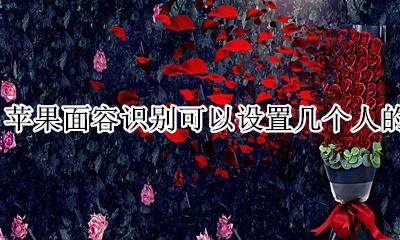 苹果面容识别可以设置几个人的 一个苹果手机能设置几个面容识别