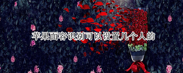 苹果面容识别可以设置几个人的