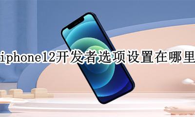 苹果12怎么打开开发者模式 iphone12开发者选项设置在哪里