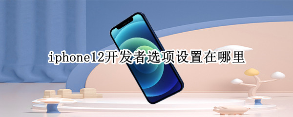 iphone12开发者选项设置在哪里