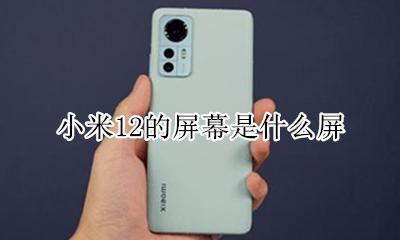 小米12 什么屏幕 小米12的屏幕是什么屏