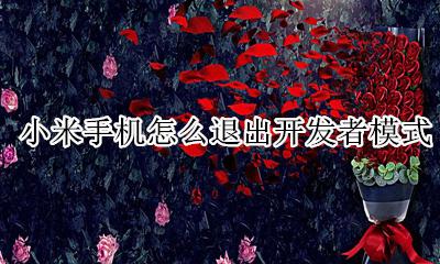 小米手机怎么退出开发者模式 小米手机的开发者模式怎么关闭