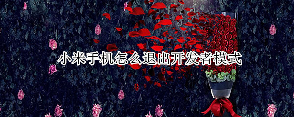 小米手机怎么退出开发者模式