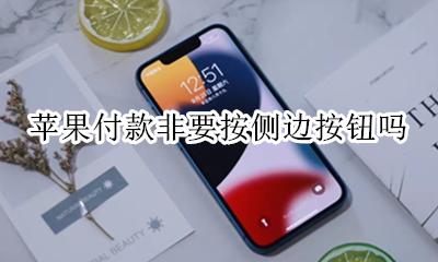 苹果付款非要按侧边按钮吗 iphone怎么设置按两下侧面付款