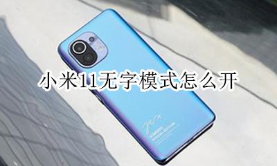 小米11没有无字模式 小米11无字模式怎么开