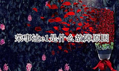 荣事达显示E1 荣事达e1是什么故障原因