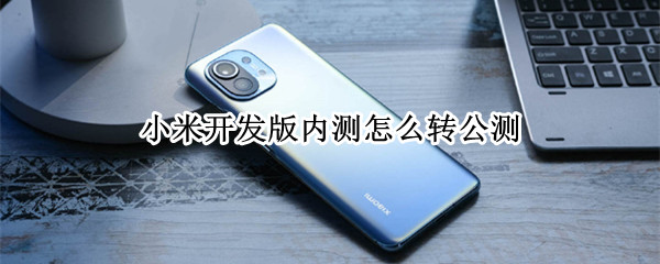 小米开发版内测怎么转公测