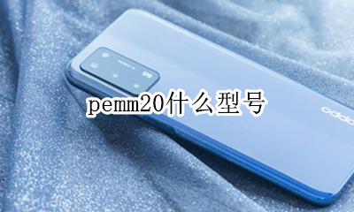 pemm20什么型号 pe-tl20是什么型号
