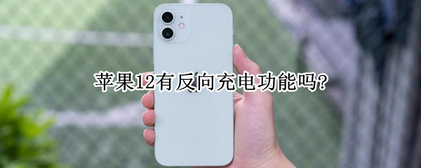 苹果12有反向充电功能吗?