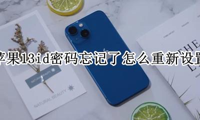 苹果id13天后修改不了密码 苹果13id密码忘记了怎么重新设置