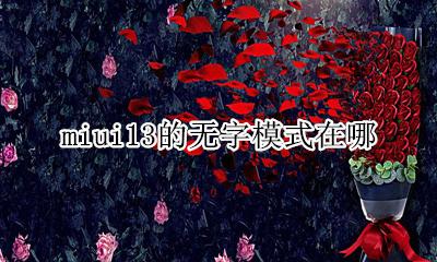 miui13没有无线显示 miui13的无字模式在哪