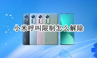 小米呼叫限制怎么解除 小米手机呼叫限制在哪里设置
