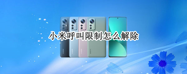 小米呼叫限制怎么解除