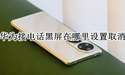 华为接电话黑屏在哪里设置取消 华为接电话黑屏这个功能在哪里调
