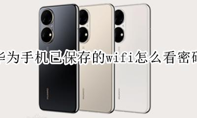 华为手机怎么看到wifi密码 华为手机已保存的wifi怎么看密码