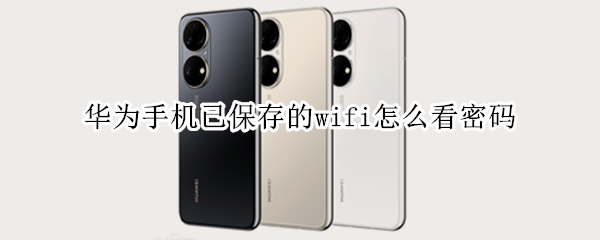 华为手机已保存的wifi怎么看密码