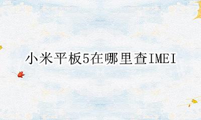 小米平板使用记录怎样查 小米平板5在哪里查IMEI