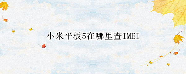 小米平板5在哪里查IMEI