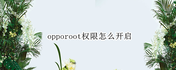 opporoot权限怎么开启