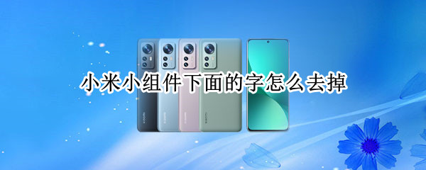 小米小组件下面的字怎么去掉