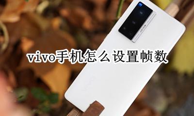 vivo手机怎么设置帧数 vivo手机怎么设置帧率