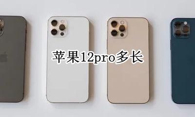 苹果12pro多长 苹果12promax多长