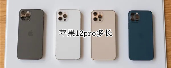 苹果12pro多长