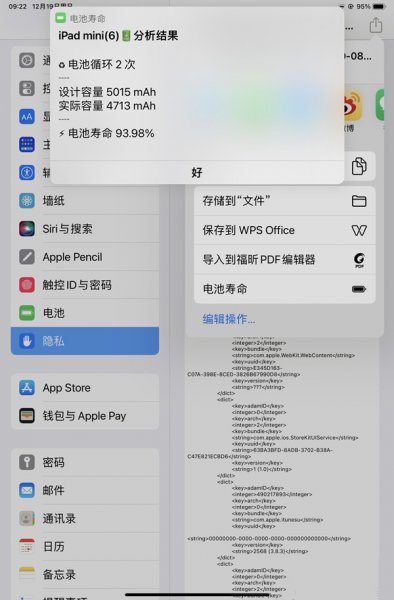 ipad可以给手机充电吗