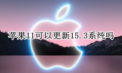 苹果11可以更新15.3系统吗 苹果11适合更新11.11系统吗