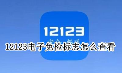 12123免检电子标识在哪 12123电子免检标志怎么查看