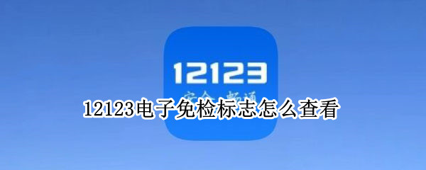 12123电子免检标志怎么查看