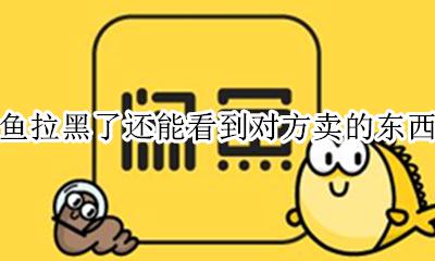 闲鱼拉黑了还能看到对方卖的东西吗 闲鱼被拉黑了 对方可以看到消息吗