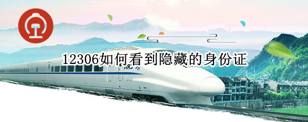 12306如何看到隐藏的身份证