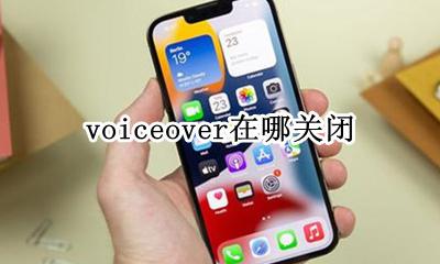 voiceover在哪关闭 苹果手机voiceover怎么关闭