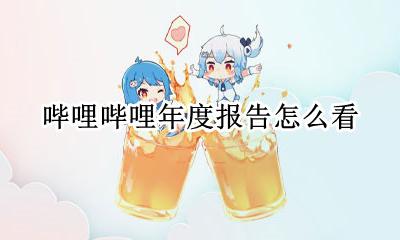 哔哩哔哩年度报告怎么看 如何看哔哩哔哩年度报告